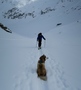 Hond op toer