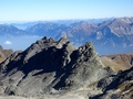 Wildseehörner