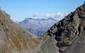 Wildseeluggen