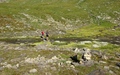 Gloggentürmlipass