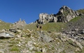 Gloggentürmlipass