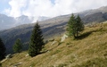 Alpe Sponda