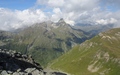 Einshorn