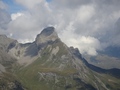 Einshorn