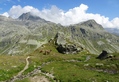 Koeien boven de Splügenpass