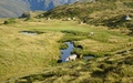 Tamboalp