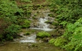 Môtiers