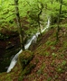 Ruisseau du Breuil