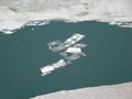 Griessee