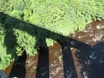 Schaduw van het aquaduct in de Dee