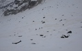 Val Morteratsch