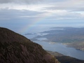 Regenboog
