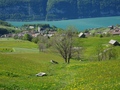 Amden
