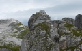 Bockhorn