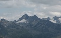 Gross Seehorn