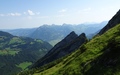 Bärenstich