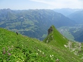 Höchnase