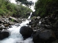 Cascade Jacqueline