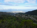 Dos d'Ane