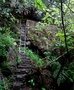 Sentier Augustave