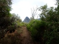 Sentier Scout