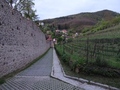 Ribeauvillé