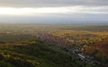 Ribeauvillé