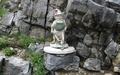 Tuinkabouter
