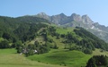 Walenstöcke