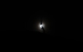 Volle maan