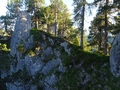 Farenstöckli