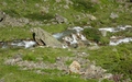 Leitschachbach