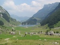 Seealp