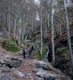 Hüttentobel