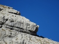 Säntis Ostgrat / Bösegg