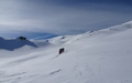 Alp Guw