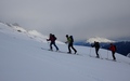 Alp Tscheurig