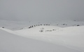 Camaner Alp