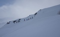 Camaner Alp