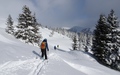 Camaner Wald