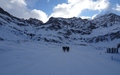 Grauhörner, Bodenhorn, Wisshorn