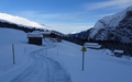 ThalerLotsch