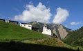 Binn: Wilere