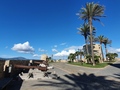 Alghero