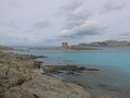 La Pelosa