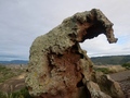 Roccia dell'Elefante