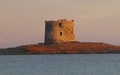 Torre della Pelosa