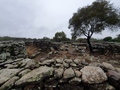 Villaggio Nuragico di Serra Orrios