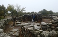 Villaggio Nuragico di Serra Orrios