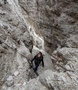 Furcella Nives